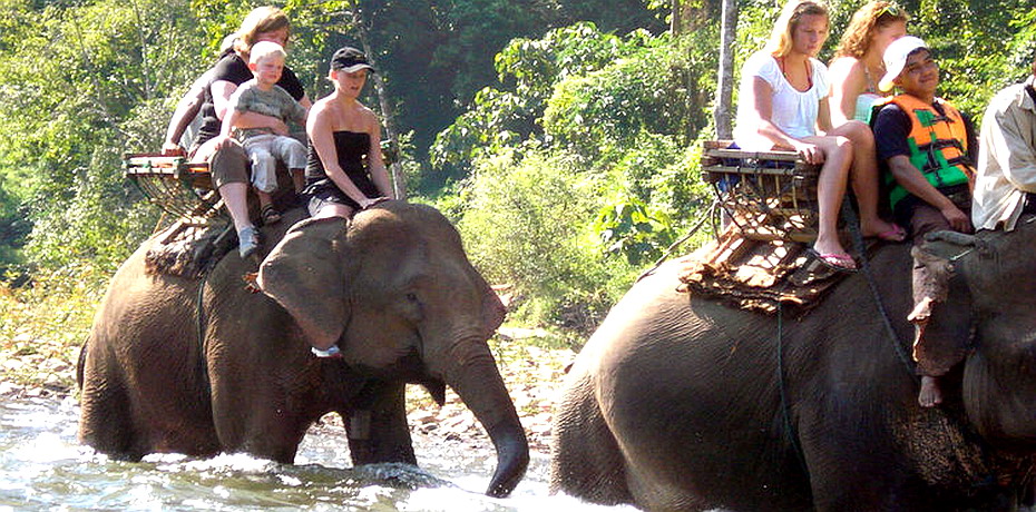 Elephant trekking Sangkhlaburi