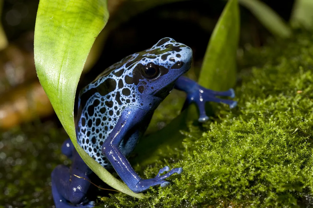 10 Top Free Bird Watching Spots Beijing 2026 Guide