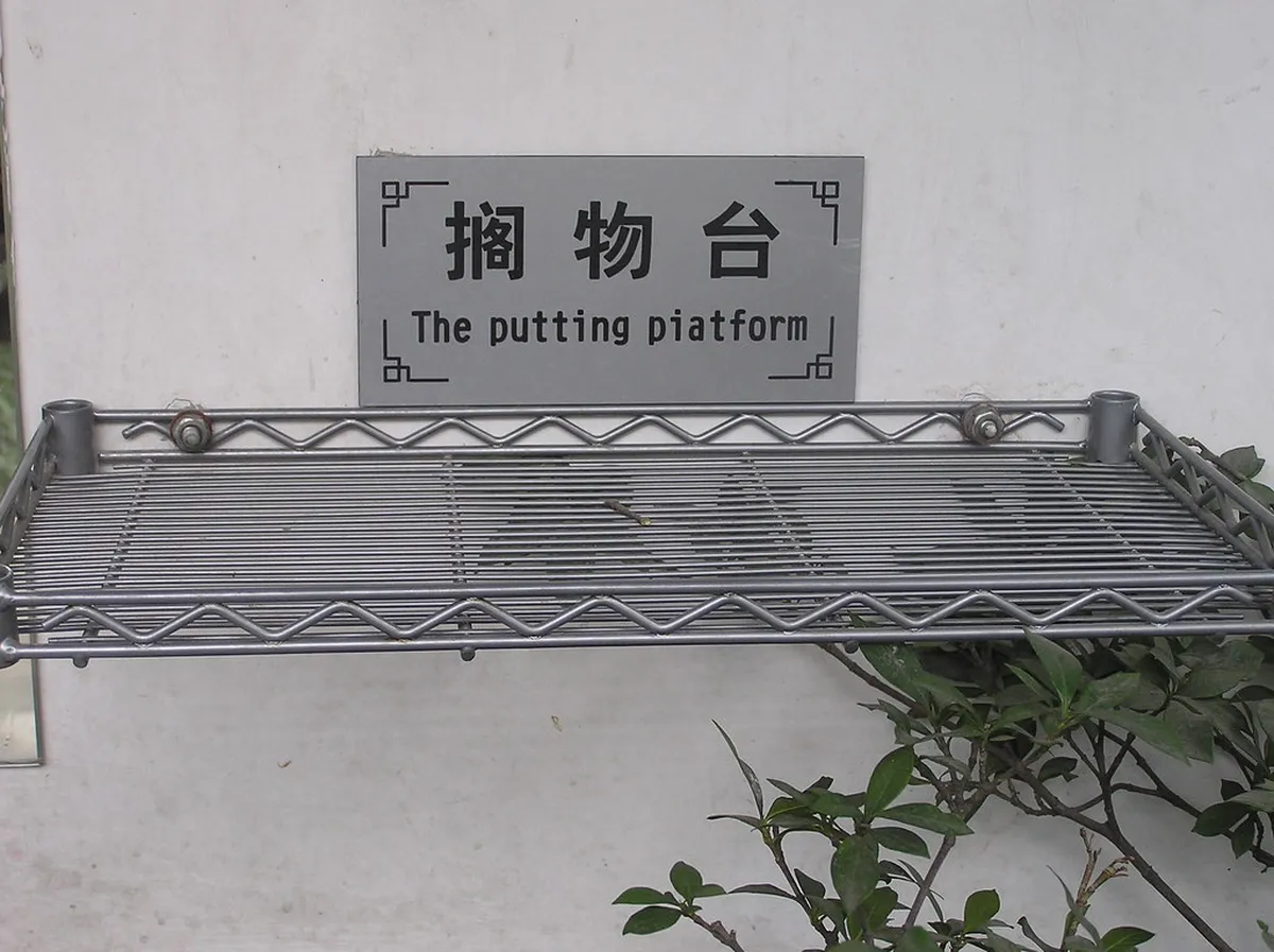 10 Highlights for Your Baihuatan Park Bonsai Garden Guide