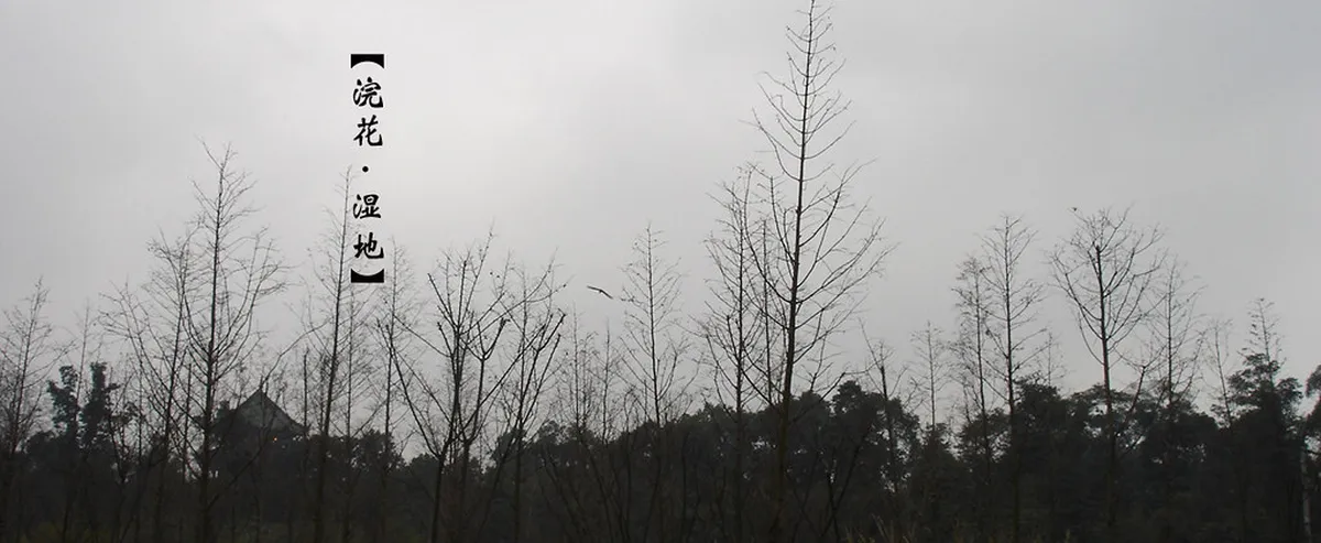 Huanhuaxi Park Visiting Guide: Top Tips for Chengdu