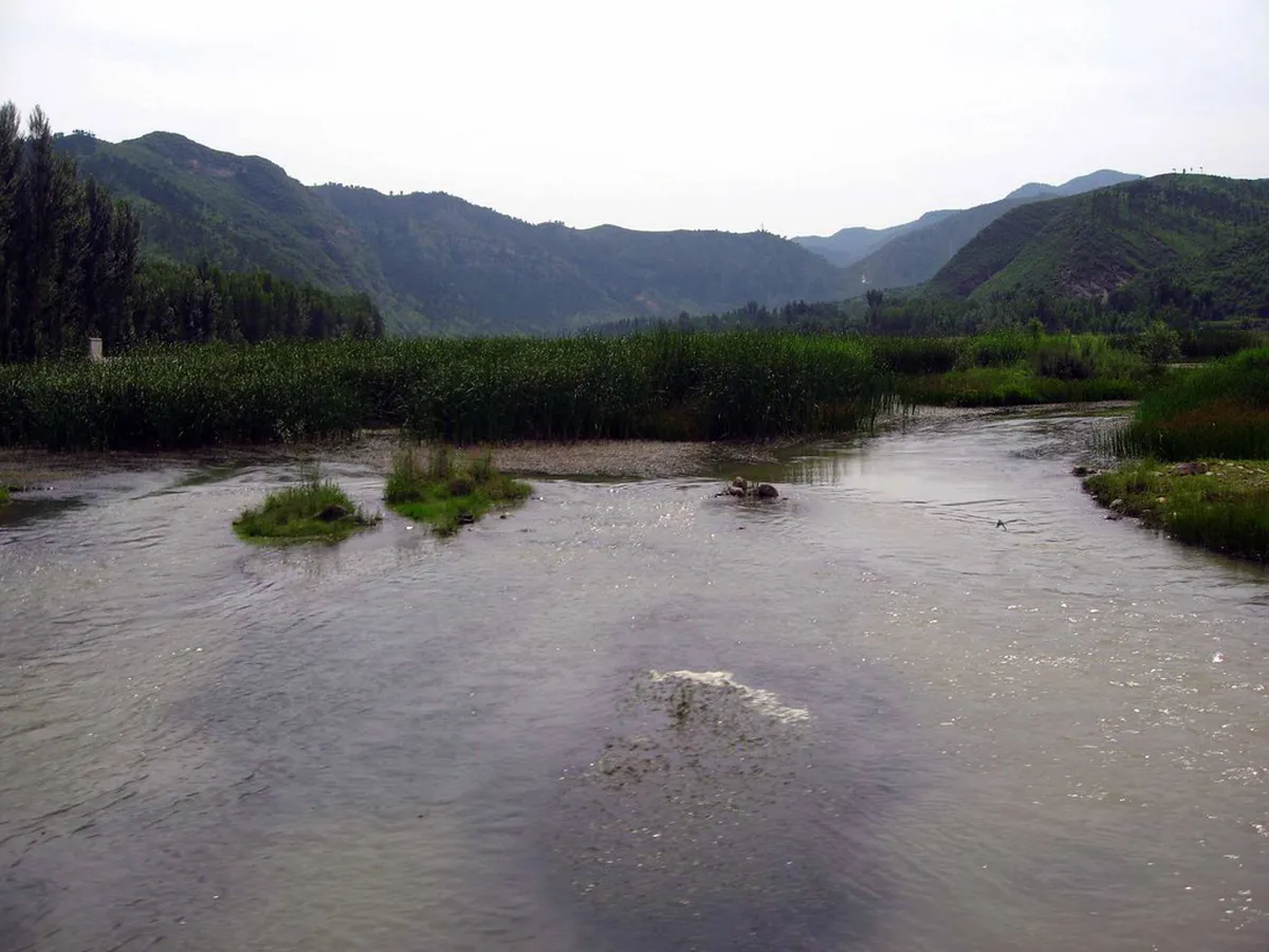 10 Fun Qinglong Lake Wetland Park Activities in Chengdu