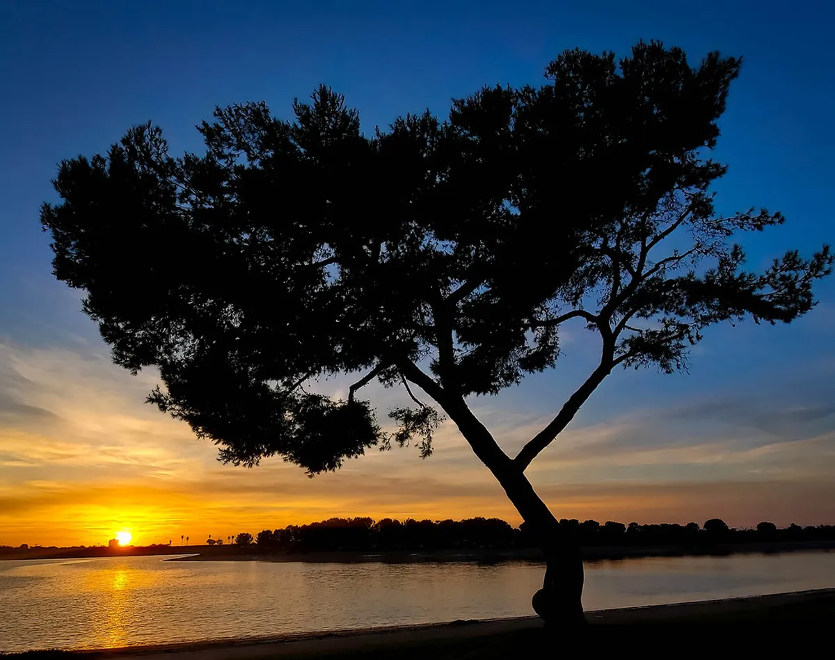 10 Best Free Scenic Wetlands in Guangzhou for 2026