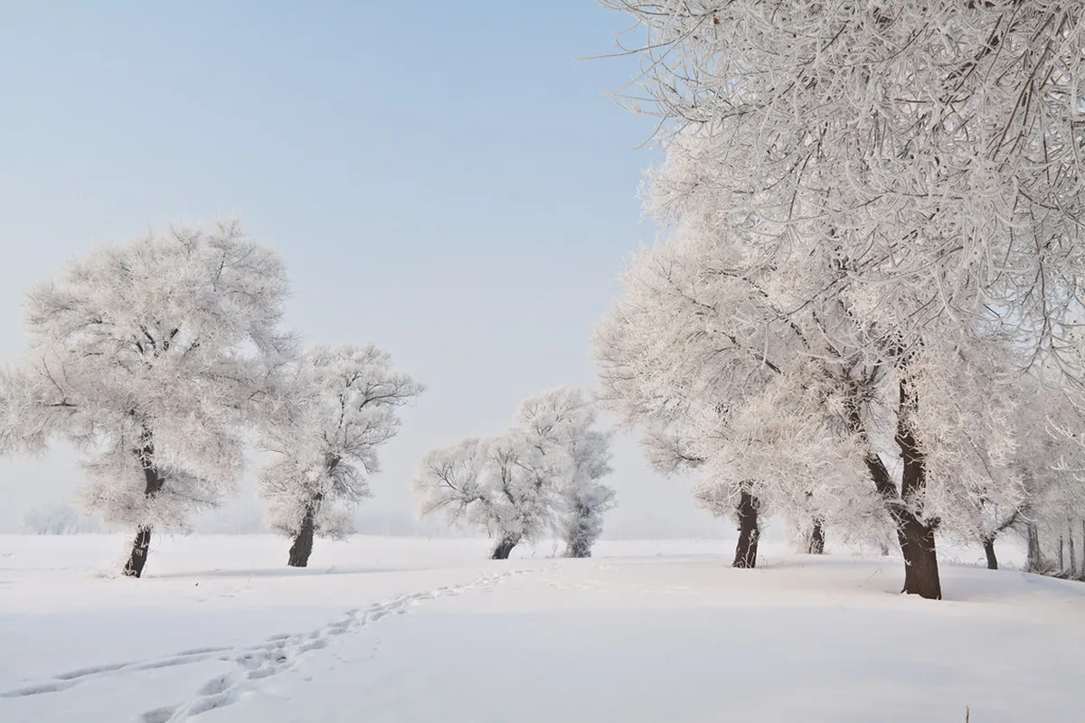Best Time for Songhua River Sunset: A Seasonal Guide