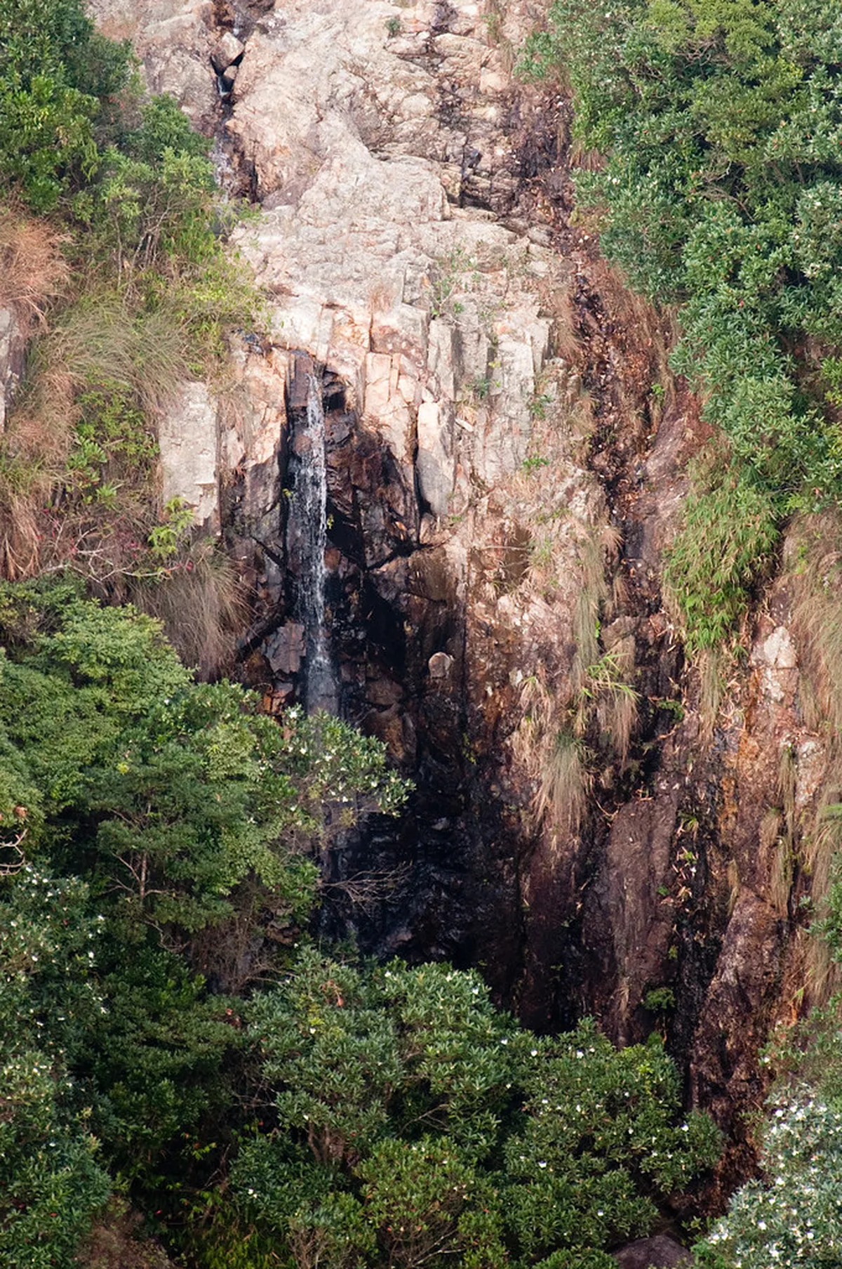10 Secret Hidden Waterfalls in New Territories to Visit