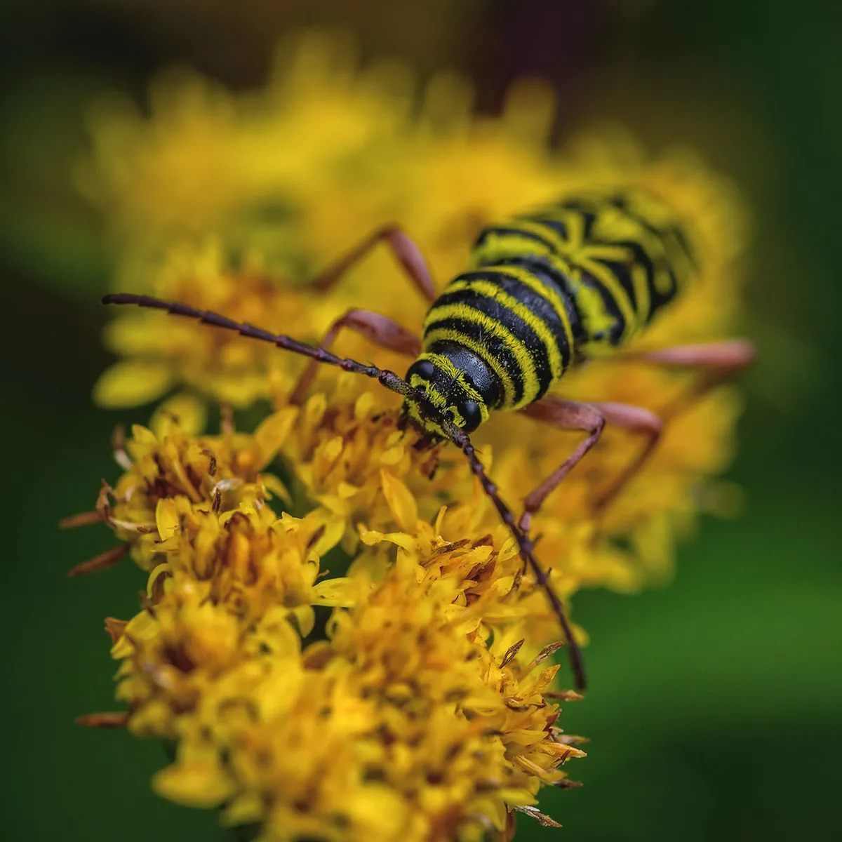 10 Best Scenic Picnic Spots in West Kowloon | 2026 Guide