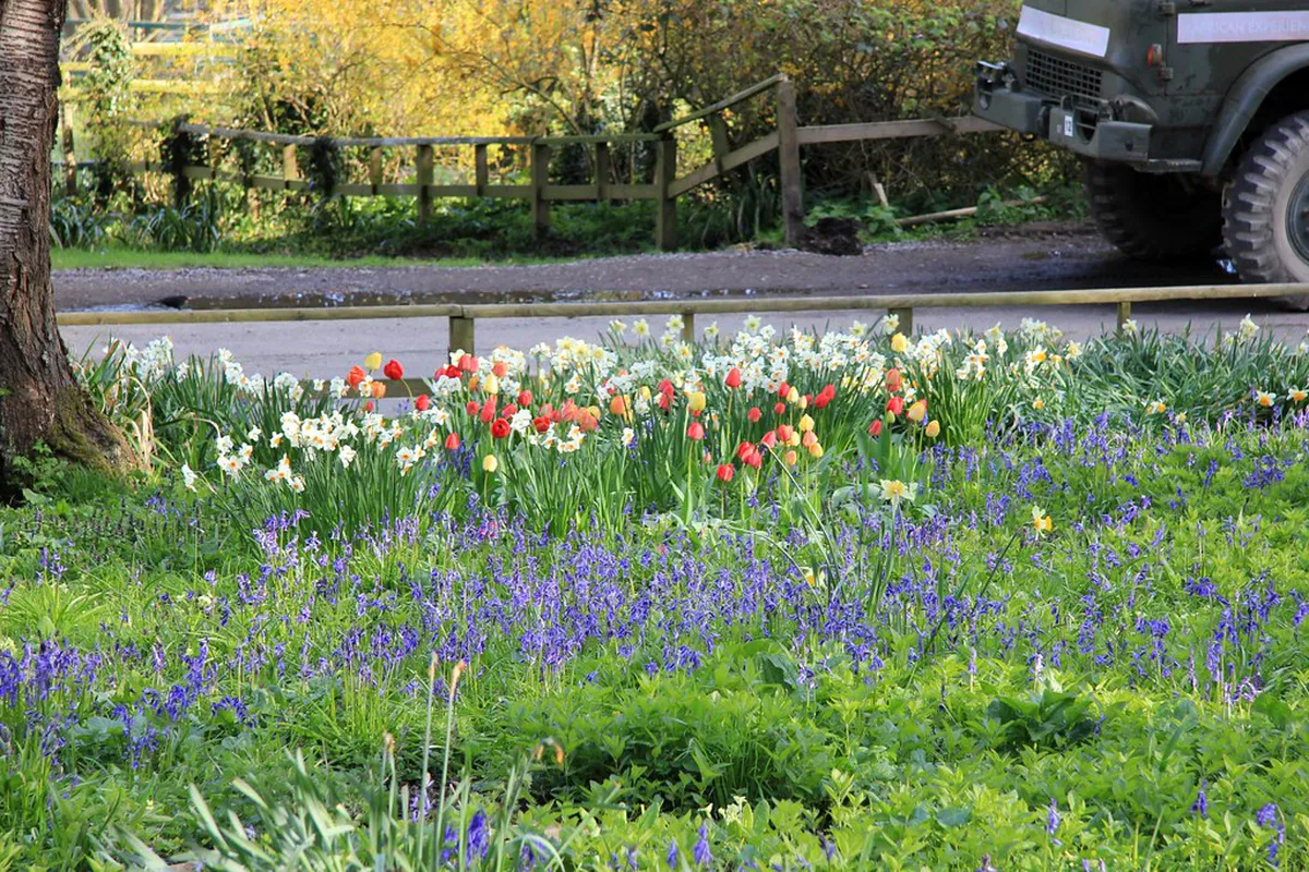 Free Flower Viewing Spots Kunming: 2026 Budget Guide