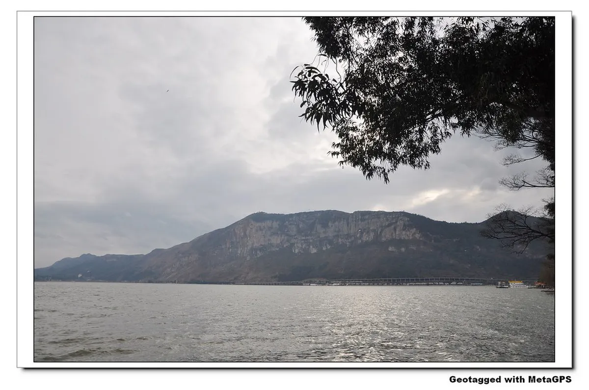 Haigeng Dam Seagull Watching Guide (Kunming)