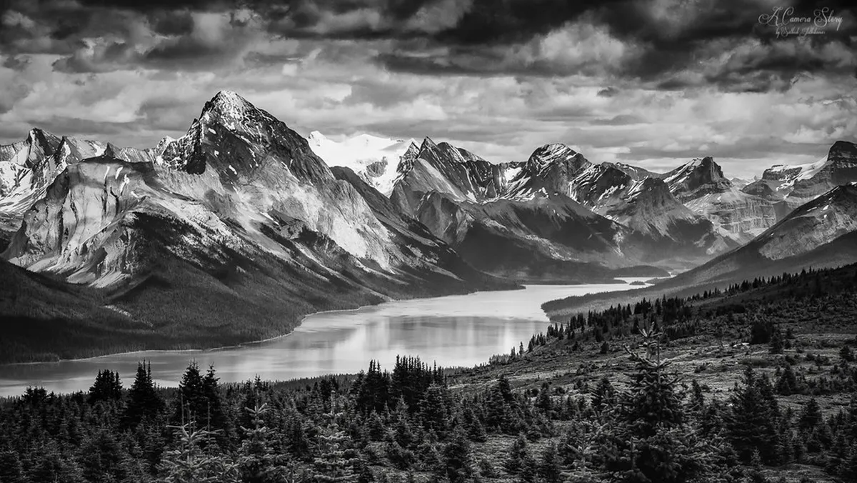 How to Visit Green Lake Park: A Complete 2026 Guide