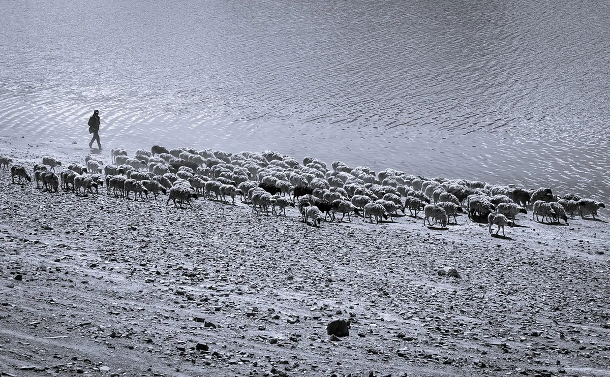 1-Day Lhasa River Walking Route and Viewpoints