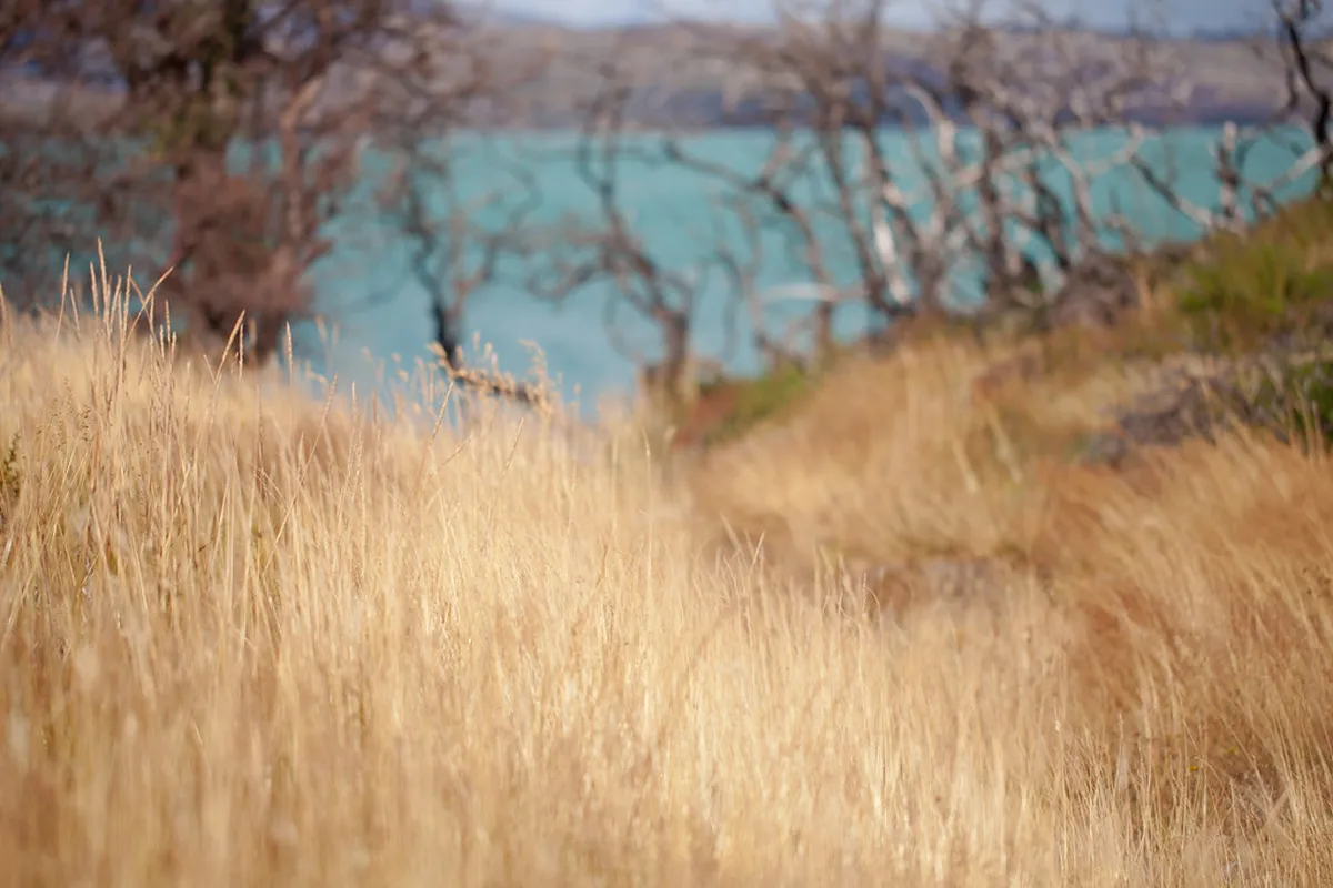 How to Hike Purple Mountain: A 1-Day Nanjing Guide