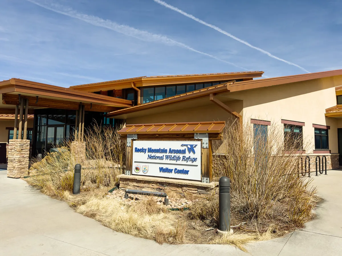 Top Free Birdwatching Spots in Qingdao: Budget Guide