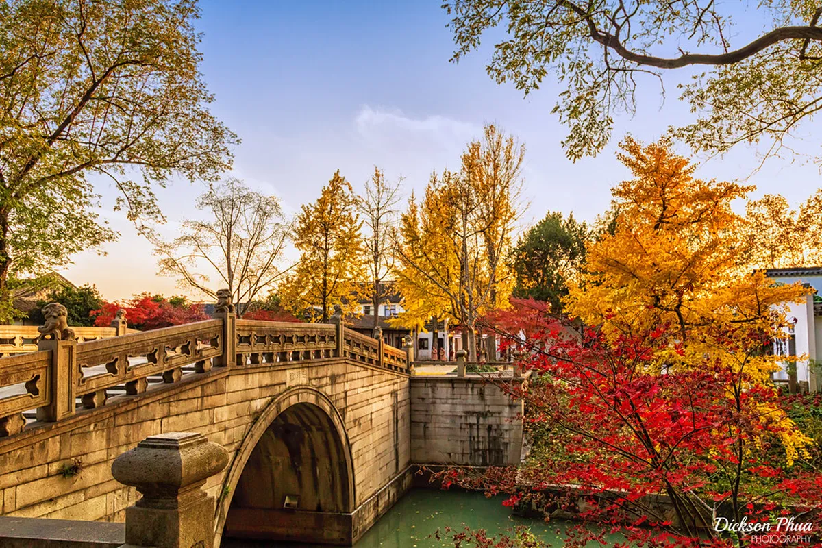 Best Time for Shanghai Autumn Leaves: 2026 Guide