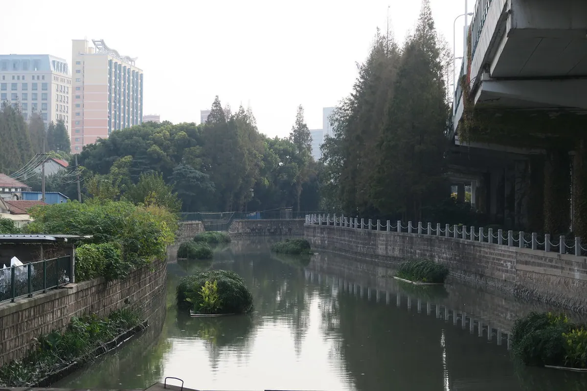 Zhongshan Park Shanghai Opening Hours: A 2026 Guide