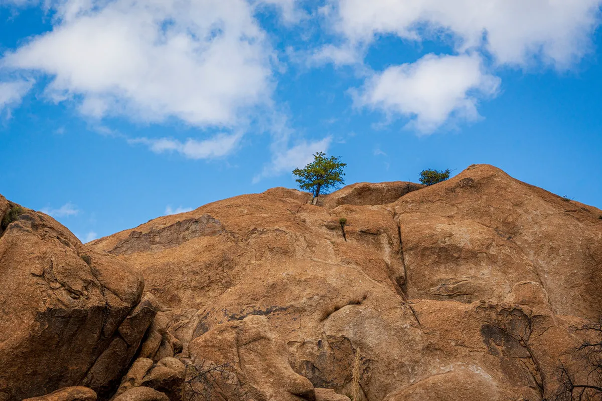 Most Photogenic Free Gardens in Tianjin: Budget Guide 2026