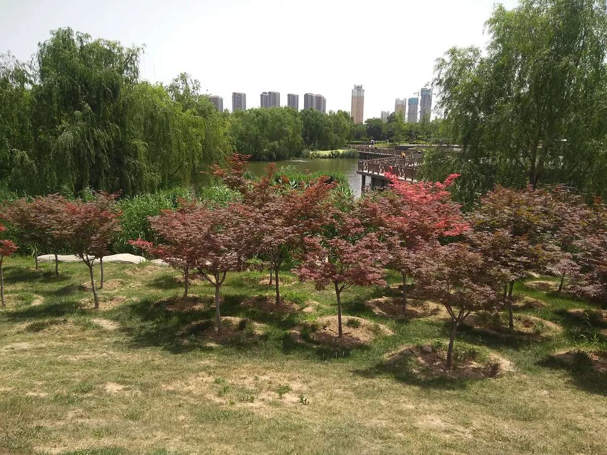 1-Day Chanba National Wetland Park Walking Route Guide