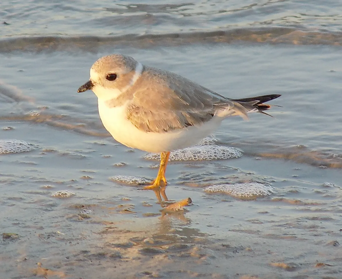 Public Beaches With Free Access Balikpapan: 2026 Budget Guide