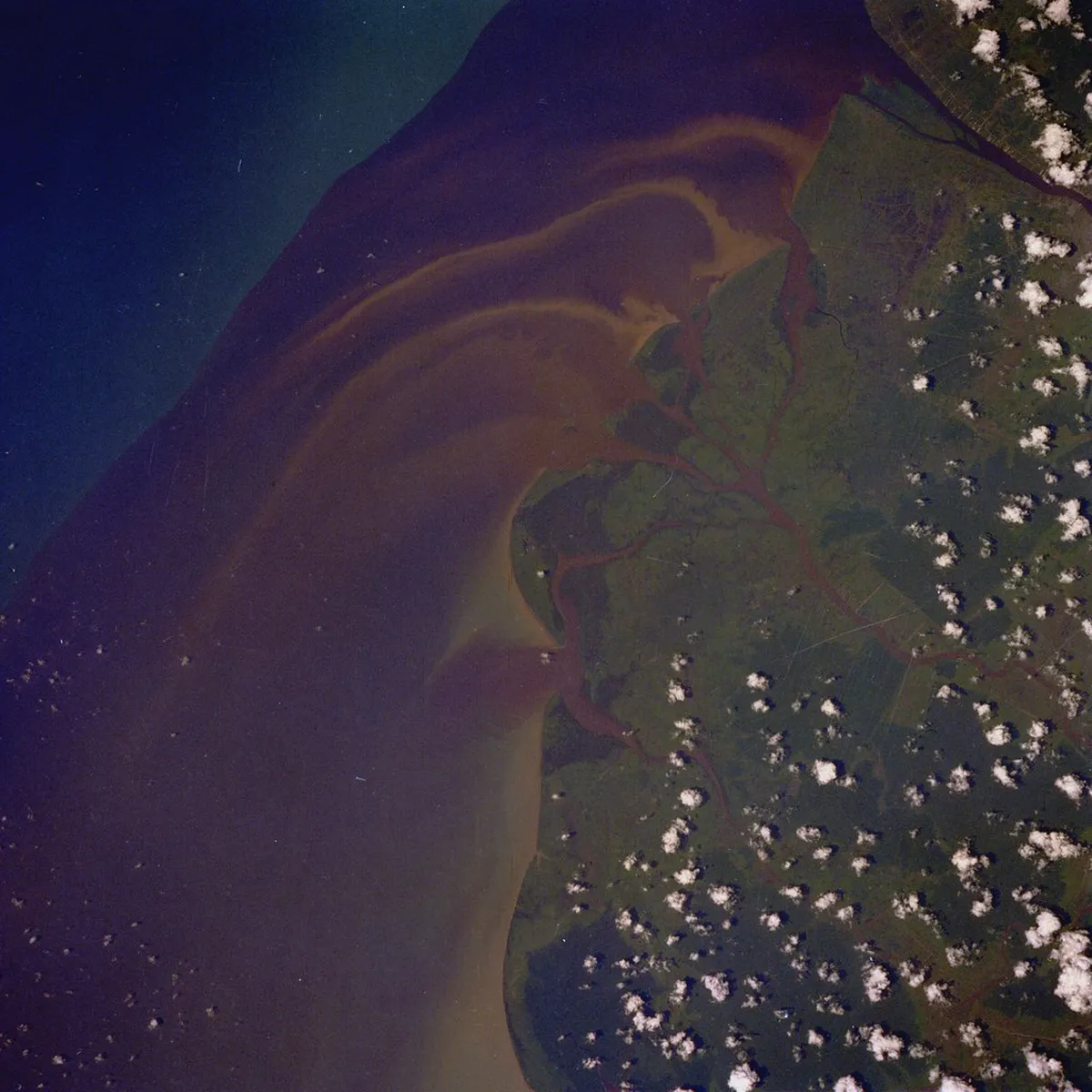 Landak River Walking Route Guide: 1-Day Nature Trip