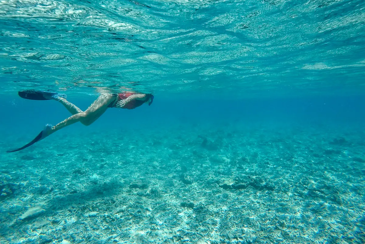 How to Find Gili Air Turtles: A 2026 Snorkeling Guide