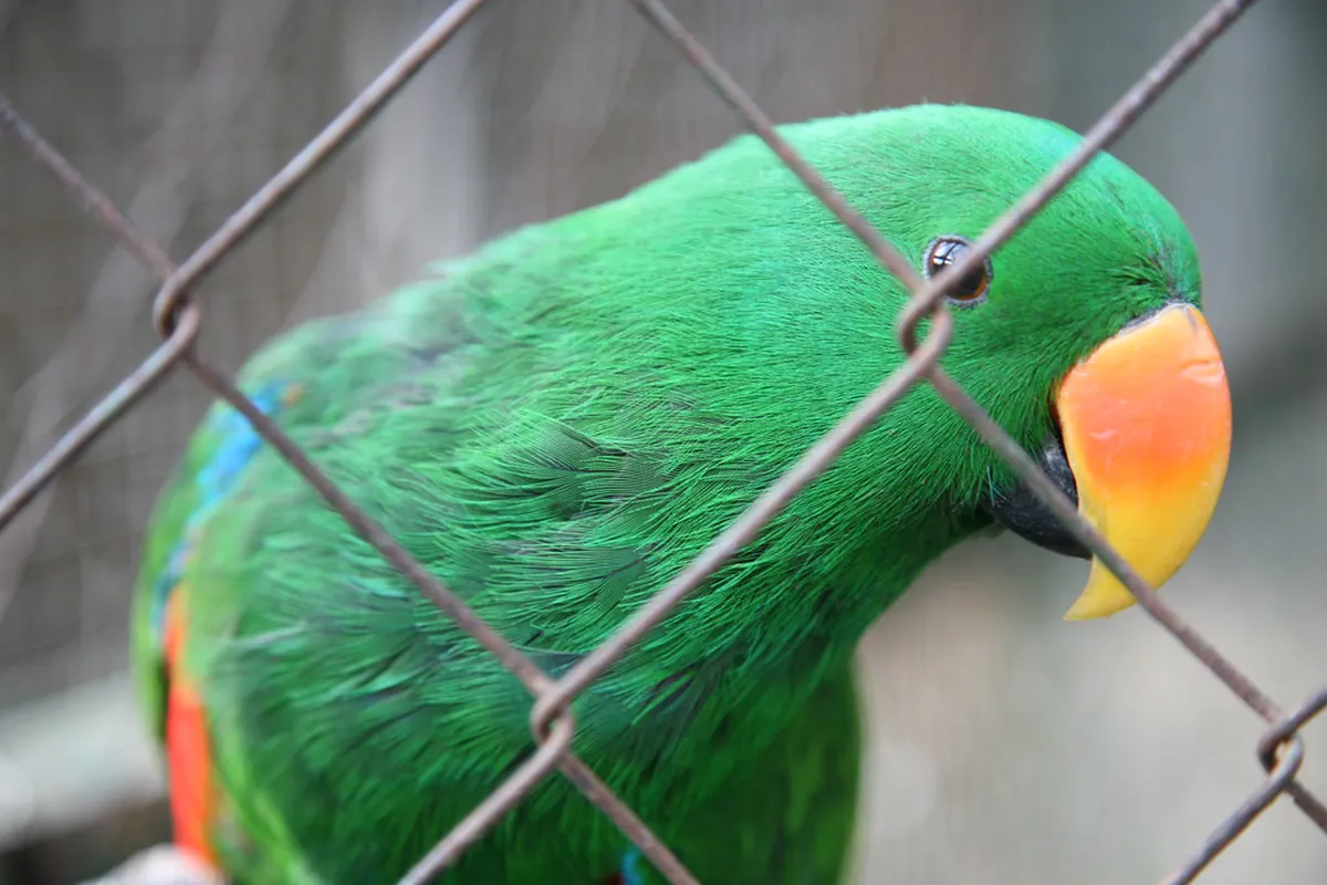 10 Gili Meno Bird Sanctuary Visiting Tips for 2026