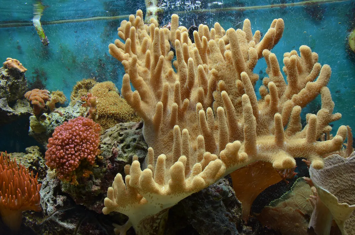 How to Have a Budget Nature Day in Jakarta