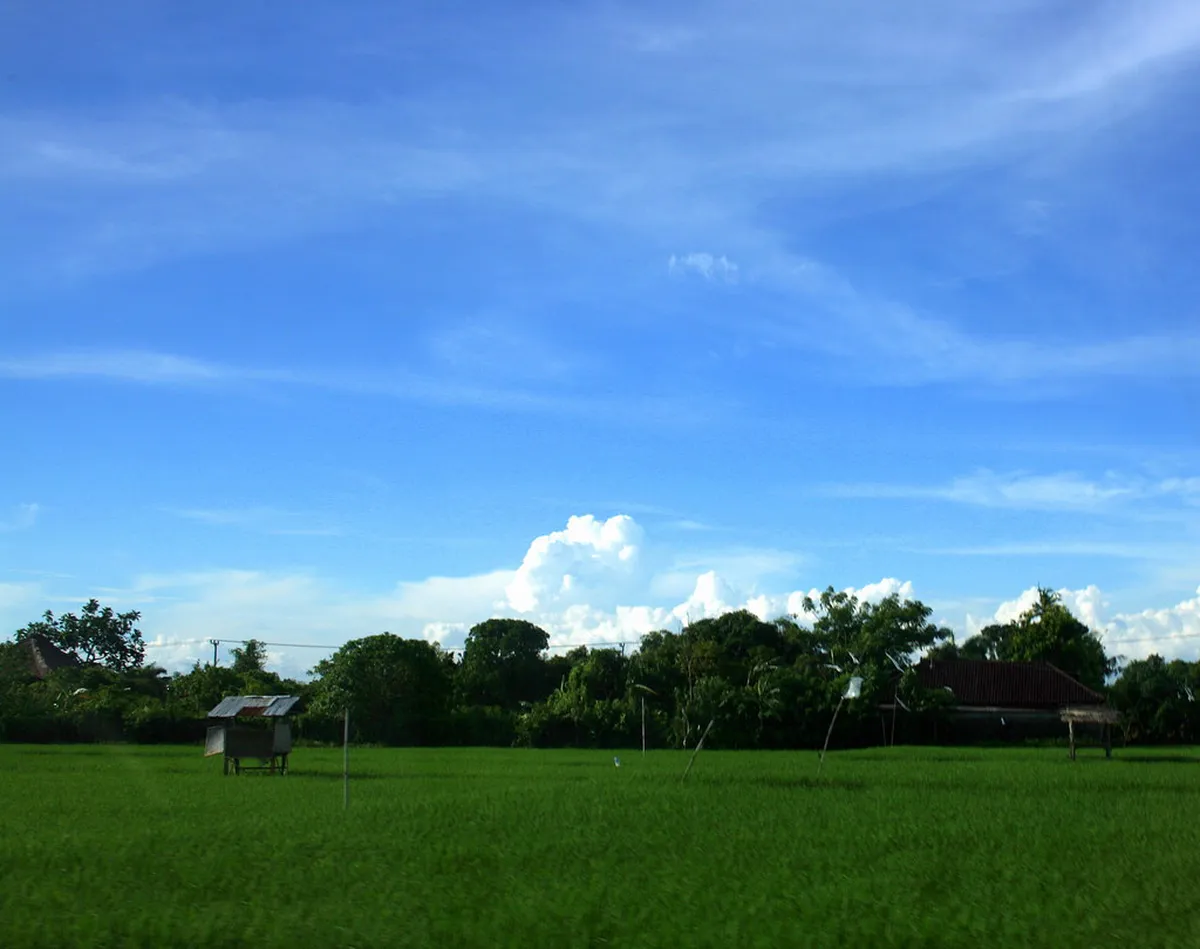 Best Kerobokan Rice Field Walking Trails: 1-Day Guide