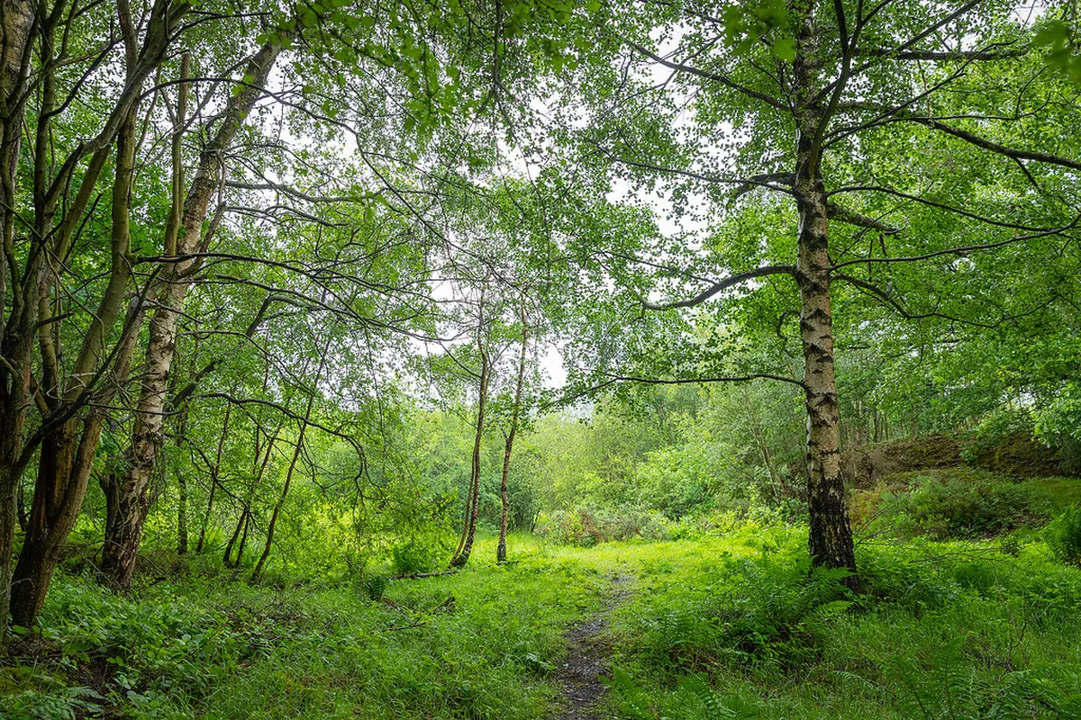 10 Best Quiet Green Lanes in Kerobokan for 2026