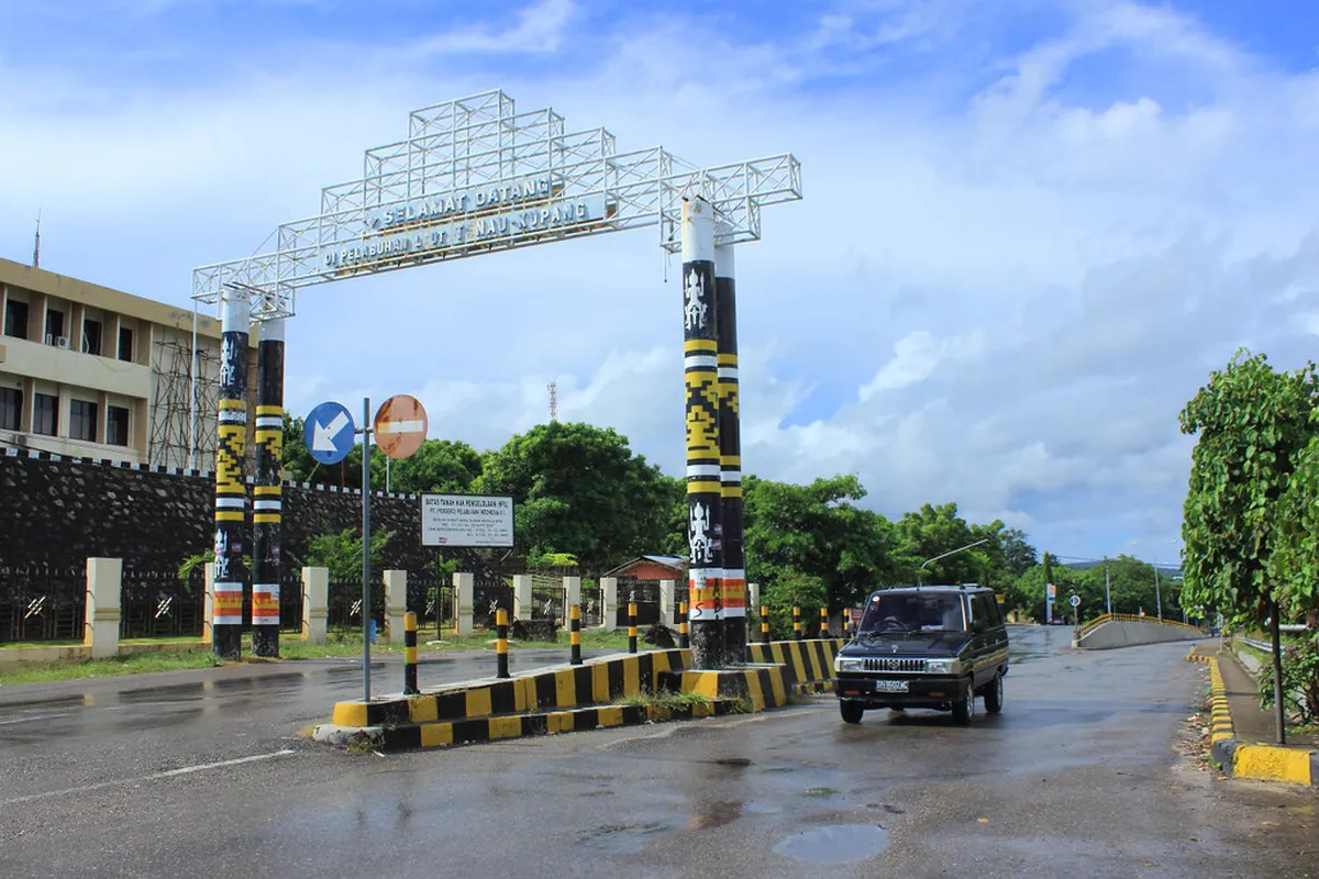 Tenau Monkey Park Visiting Tips: A Complete Kupang Guide