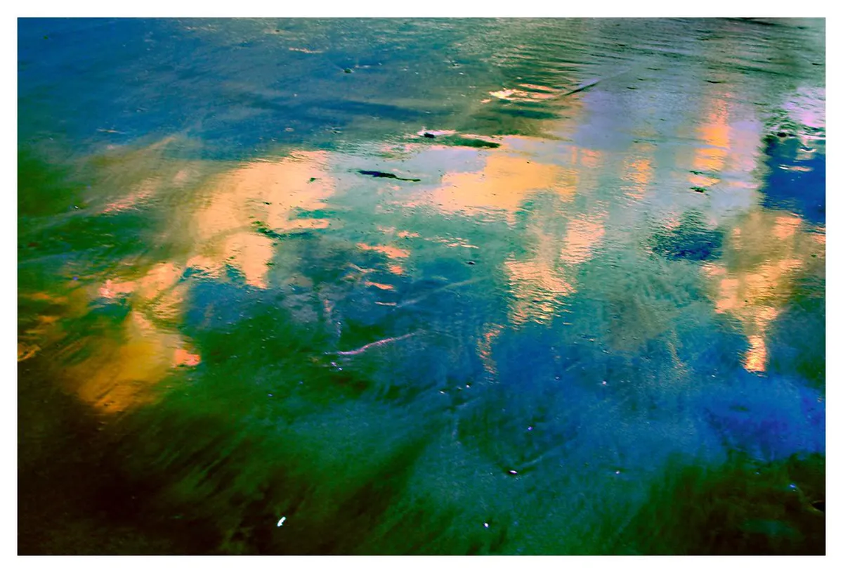 How to Visit Bali Turtle Society in 2026