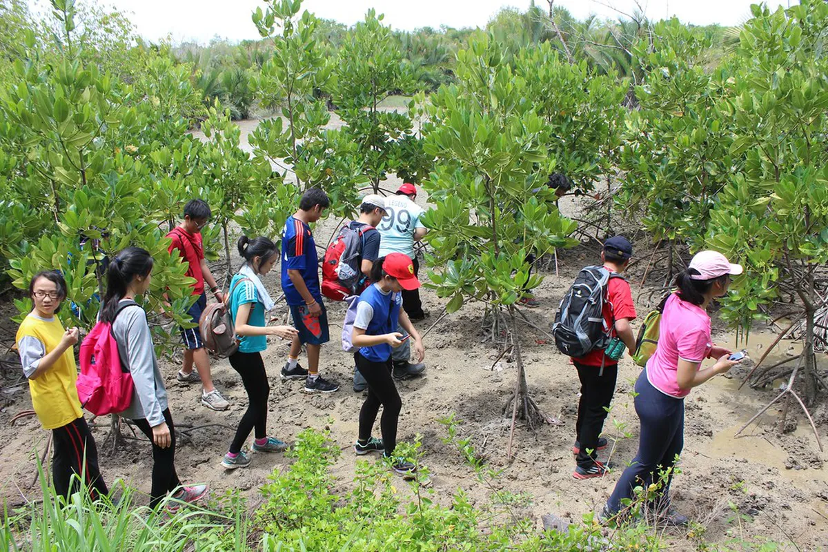 How to Visit Bukit Cinta Free: 2026 Budget Guide