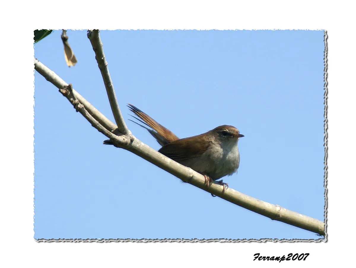 How to Visit Singsing Waterfall Lovina: A Complete Guide