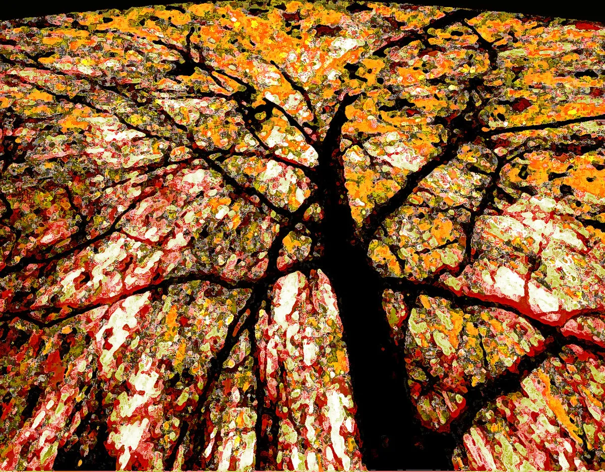 Best Free Pine Forests in Malang: Budget Guide 2026