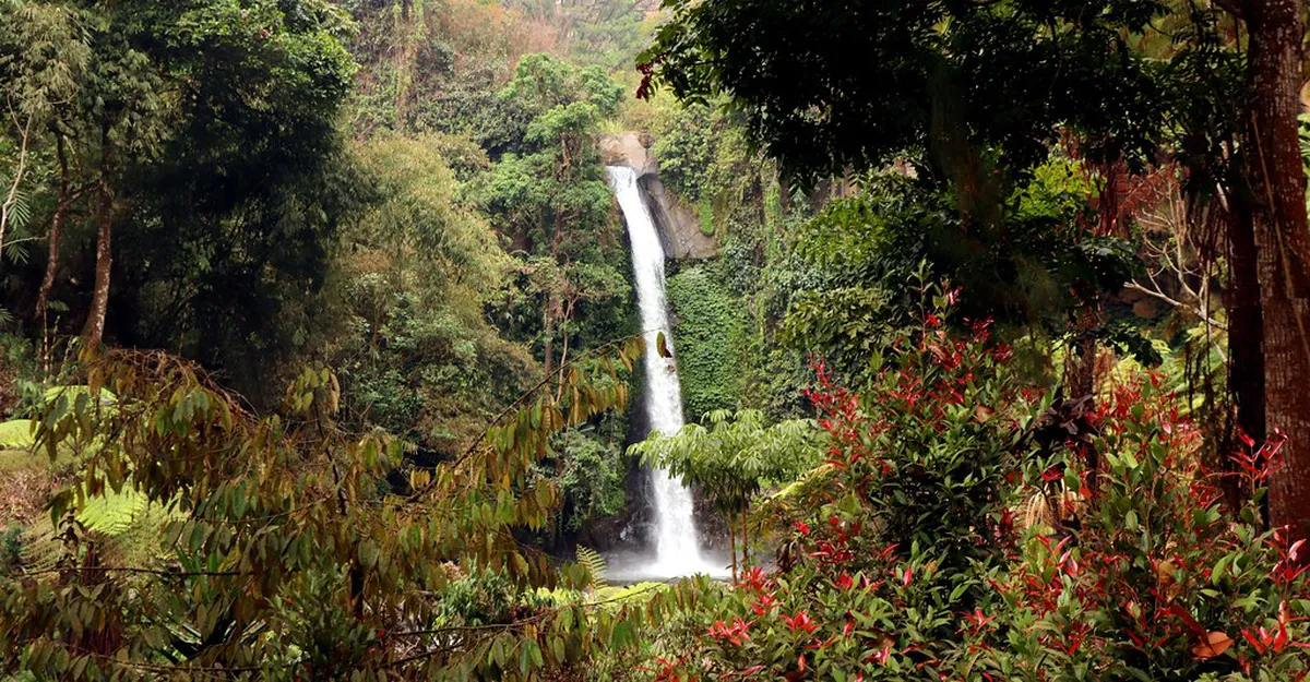 How to Visit Coban Jahe Malang: A Complete Guide