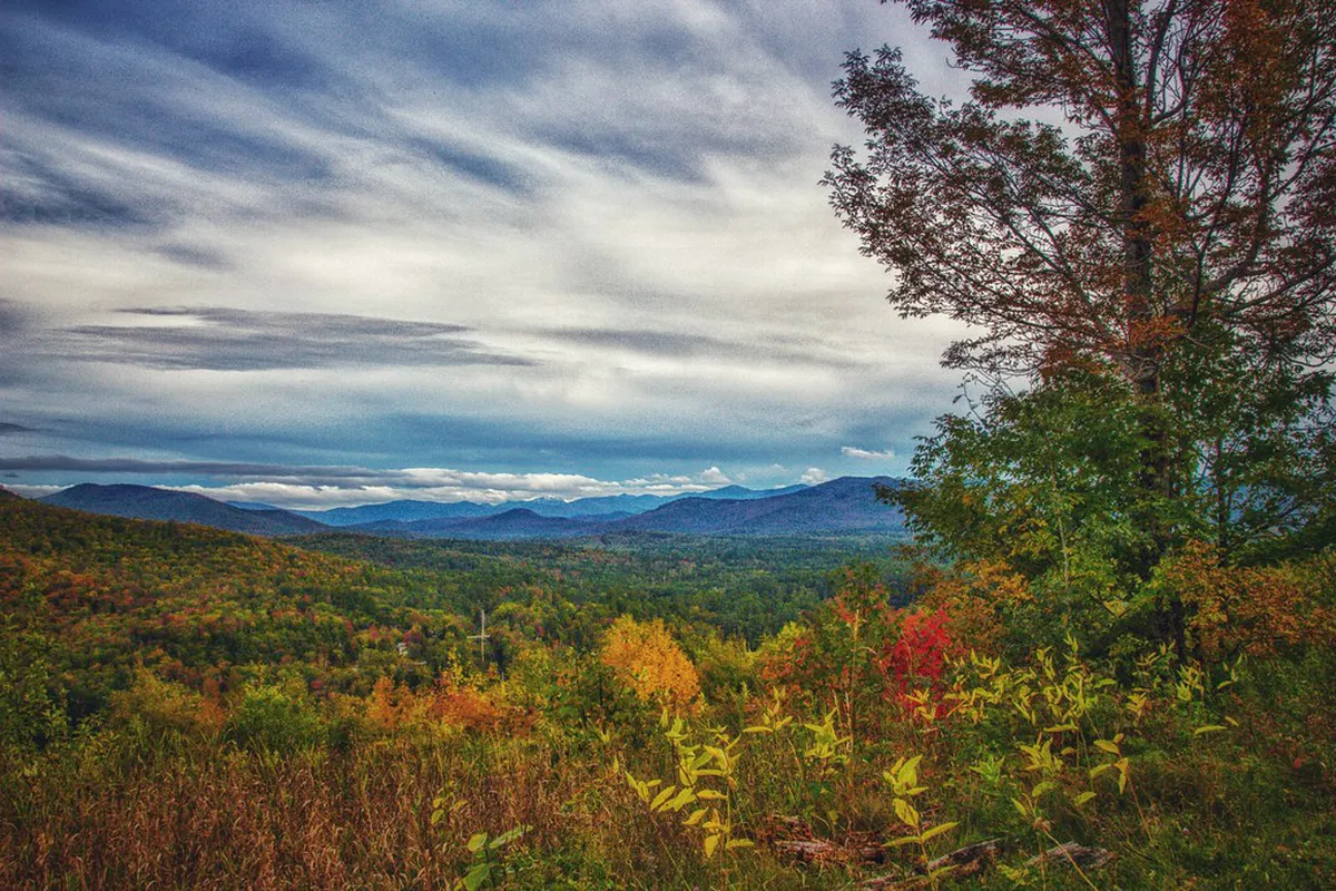 How to Visit Mount Tumpa Forest: A Complete Guide