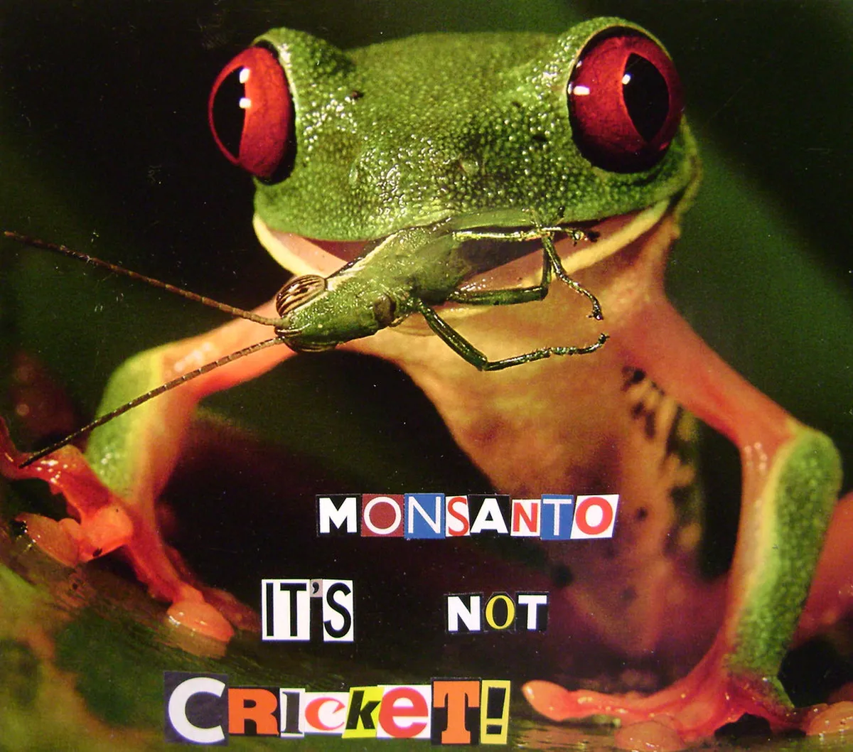 Free Nature Activities for Budget Travelers in Mataram