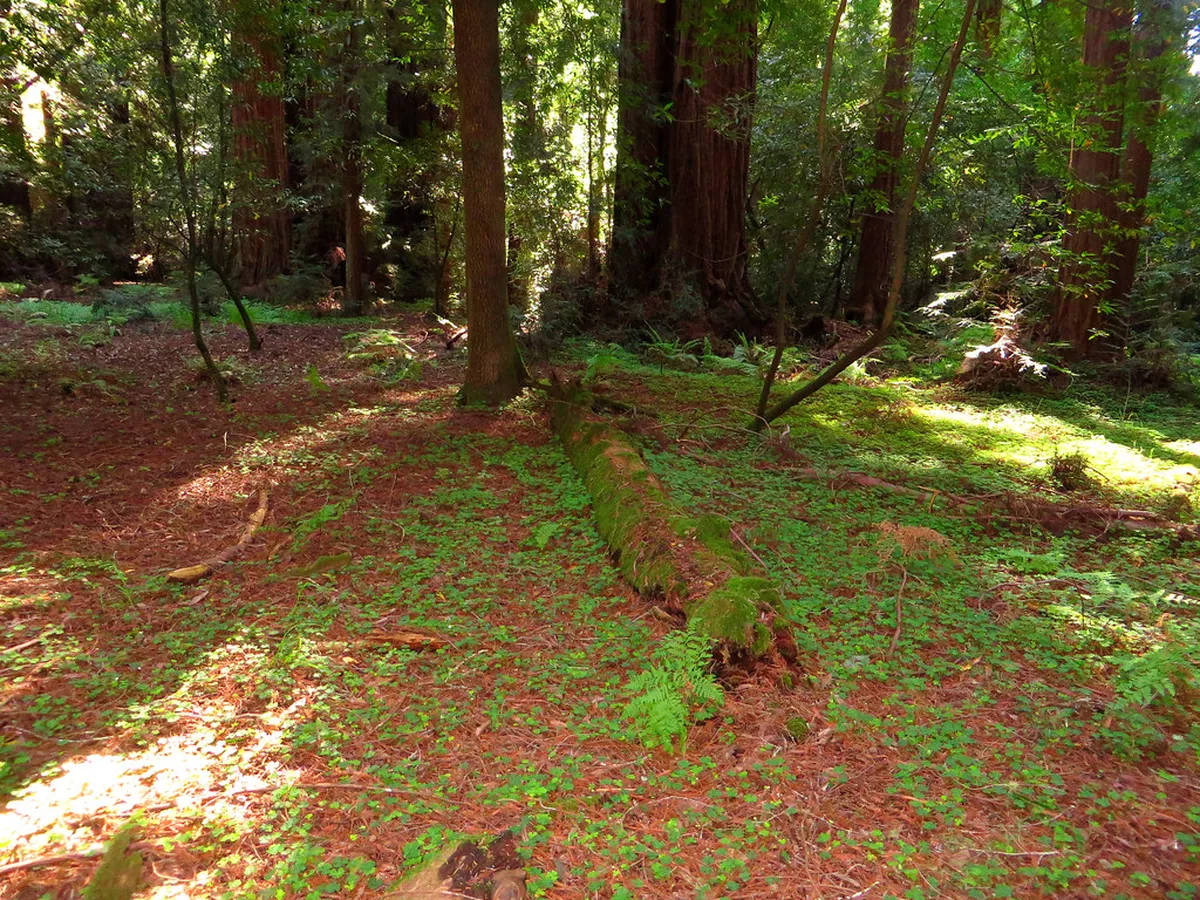 Self-guided walking trail in Mataram: 1-Day City Route