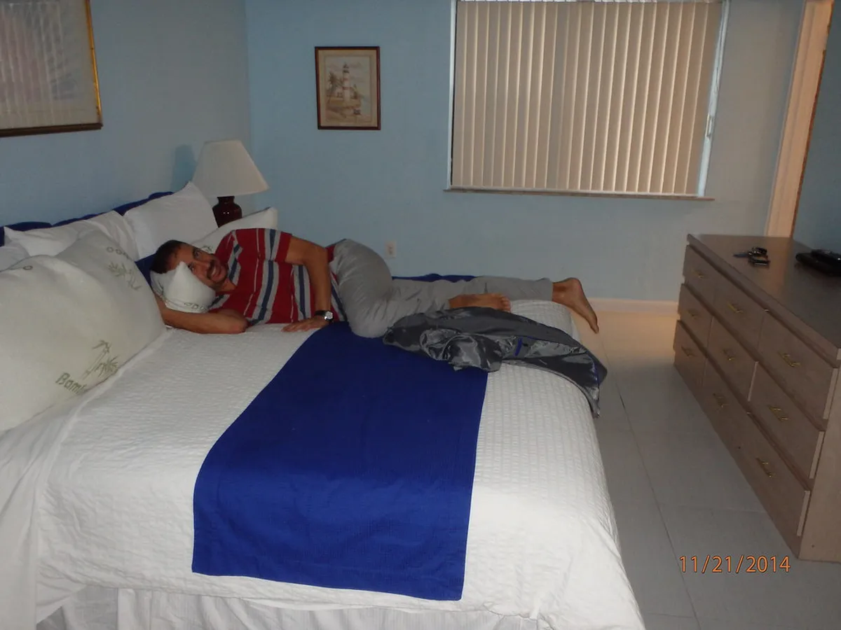 1-Day Mangrove Forest Boardwalk Walking Route Guide