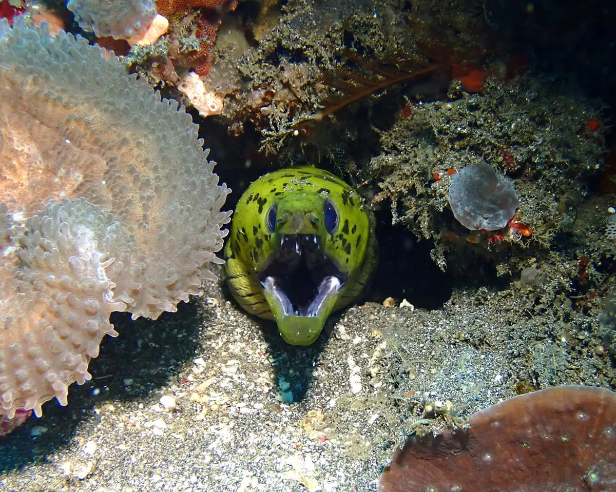 1-Day Padangbai Nature Walk Itinerary: Bali Guide