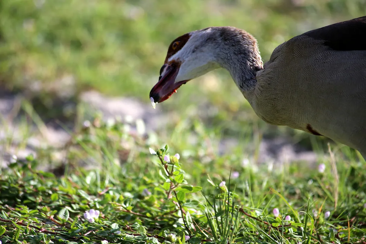 10 Best Hidden Nature Spots in Sanur to Visit