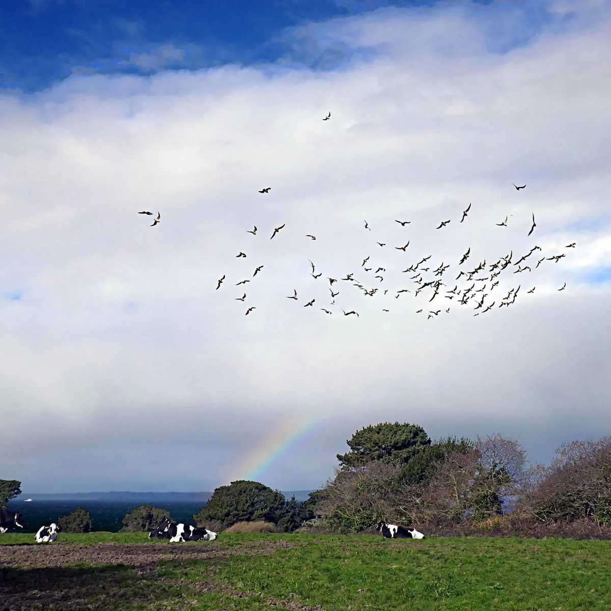 Free Entrance to Seminyak Beaches: 2026 Budget Guide