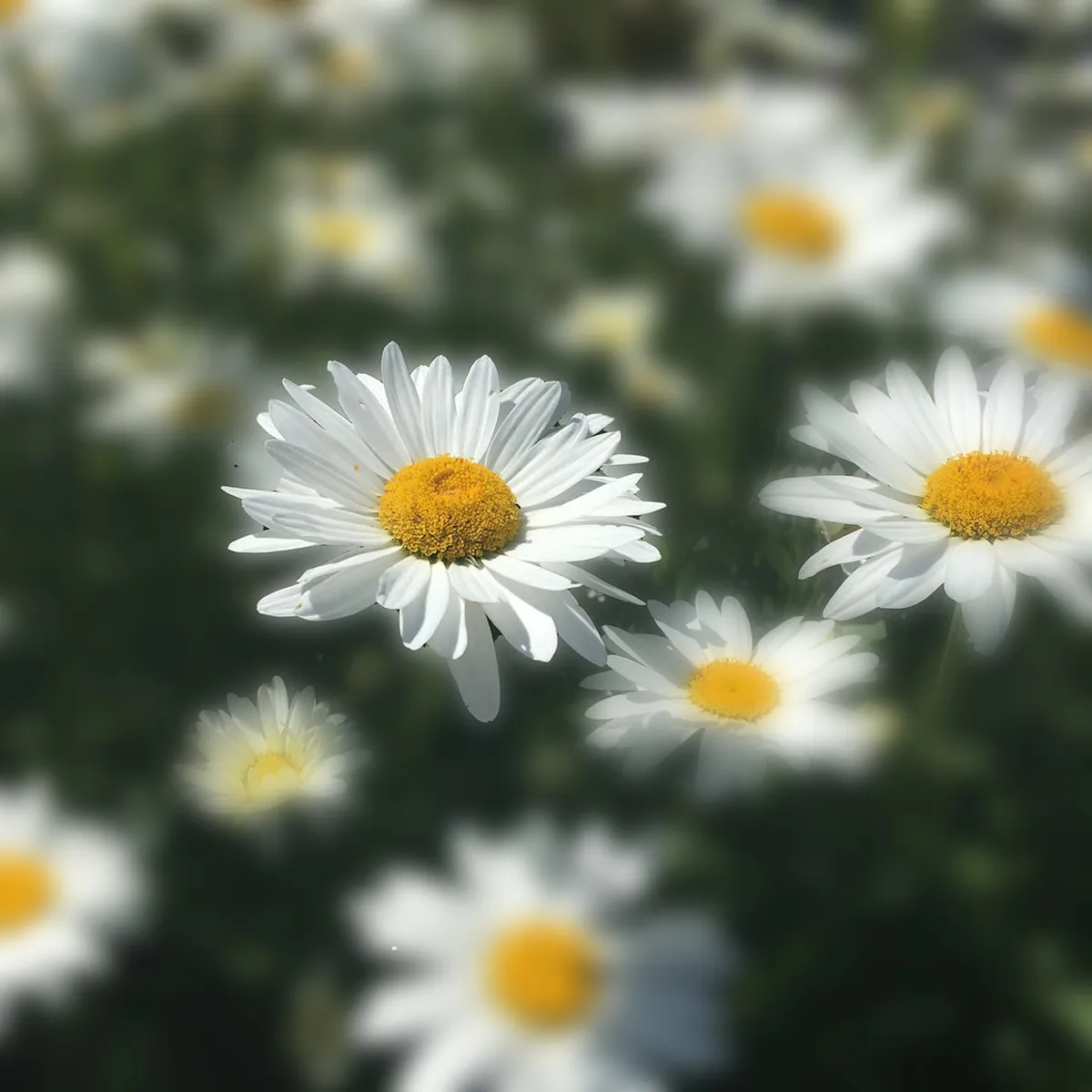 How Long to Visit Seminyak Nature: 10 Top Spots for 2026