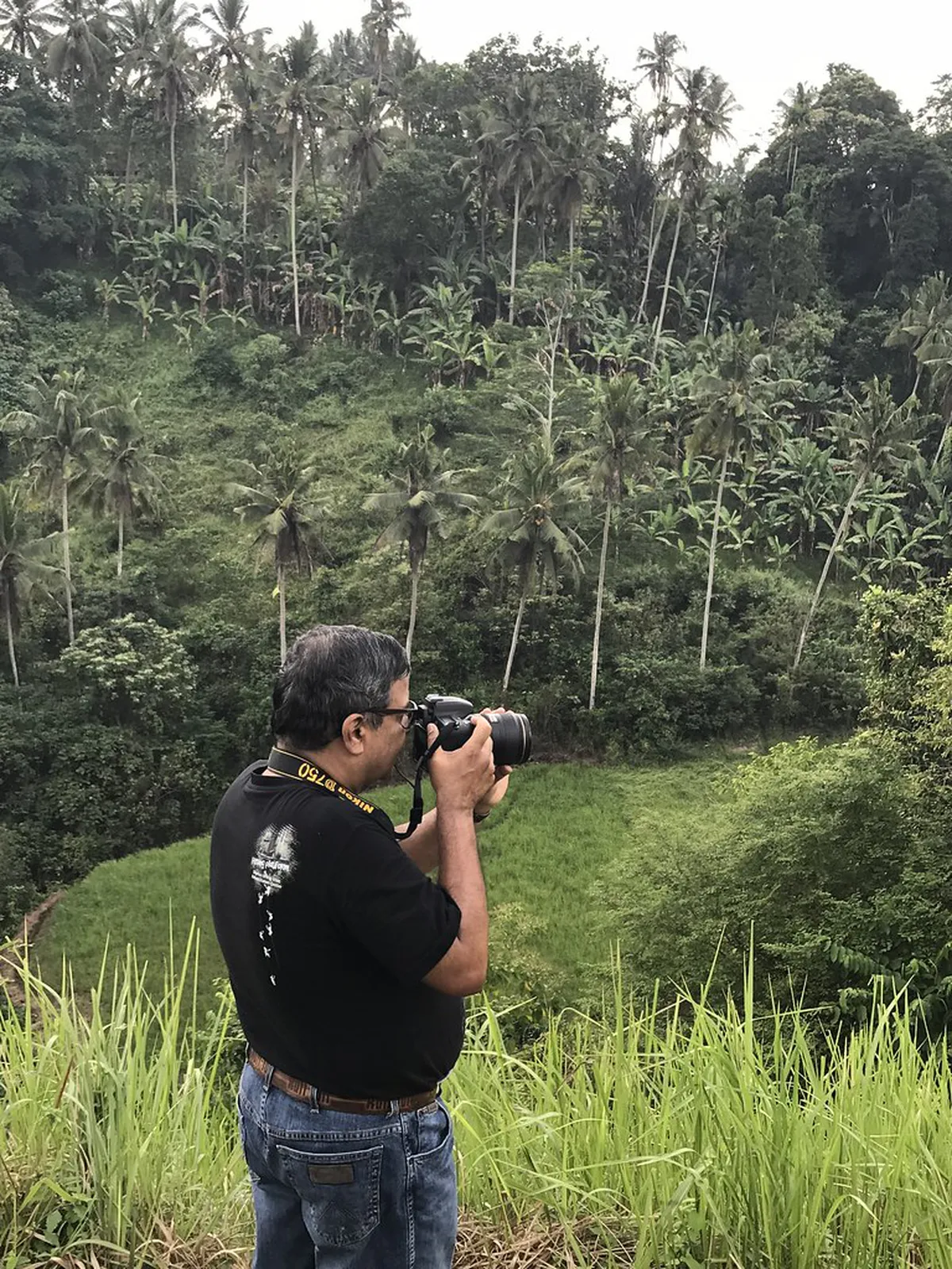 Best Time for Ubud Rice Fields: A Seasonal Guide