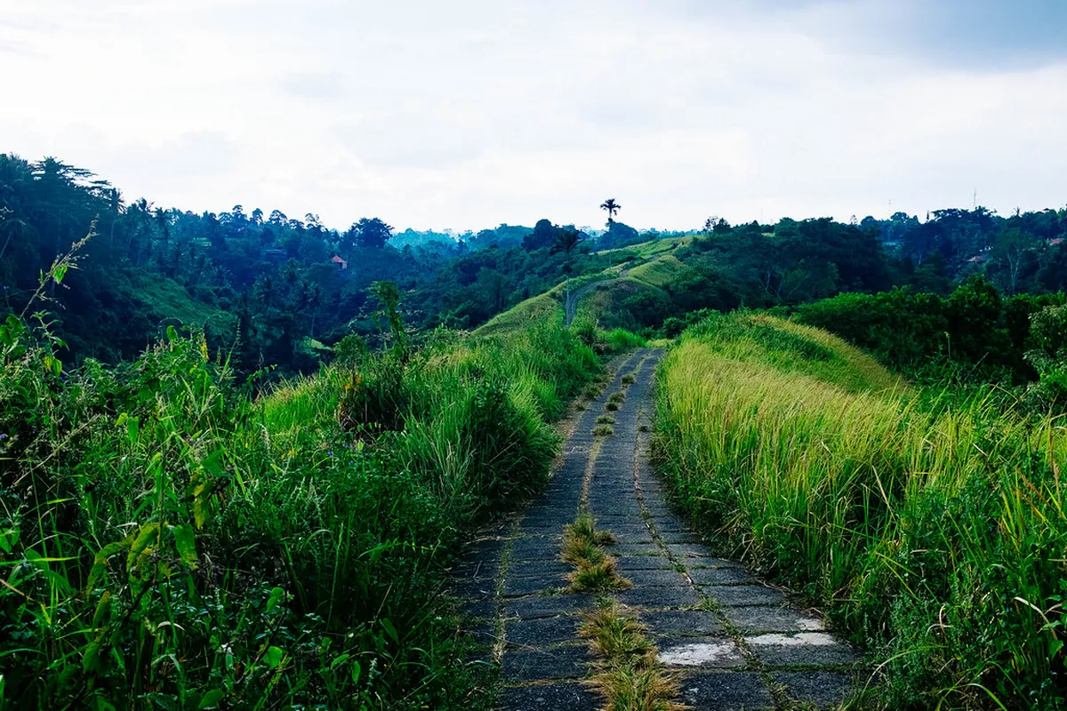 Campuhan Ridge Walk Sunset Route: Best Time to Visit