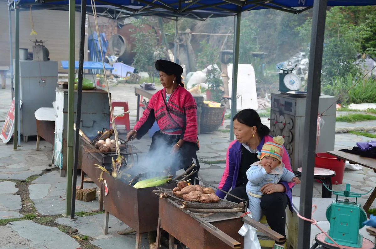 10 Scenic Rice Field Walks Near Yogyakarta Guide