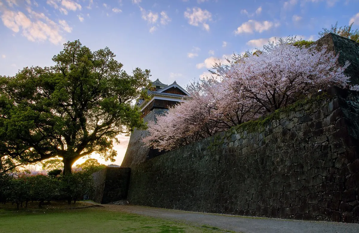 Best Time for Kumamoto Blossoms: A Seasonal Guide
