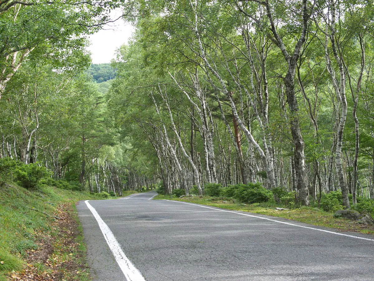 Utsukushigahara Highlands Free Viewpoints Guide