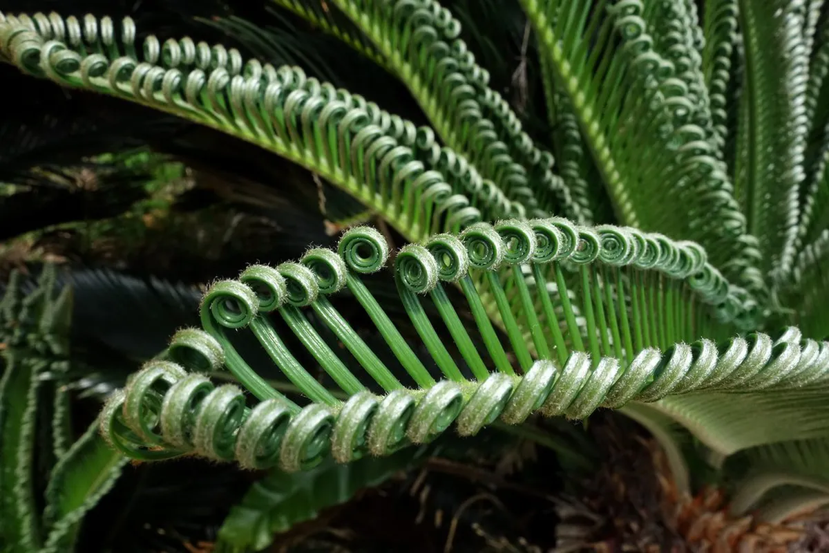 9 Naha nature activities with zero fees for your trip