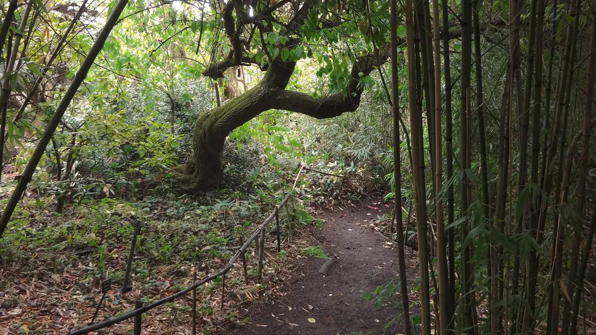 10 Quiet Botanical Spots in Naha City for 2026