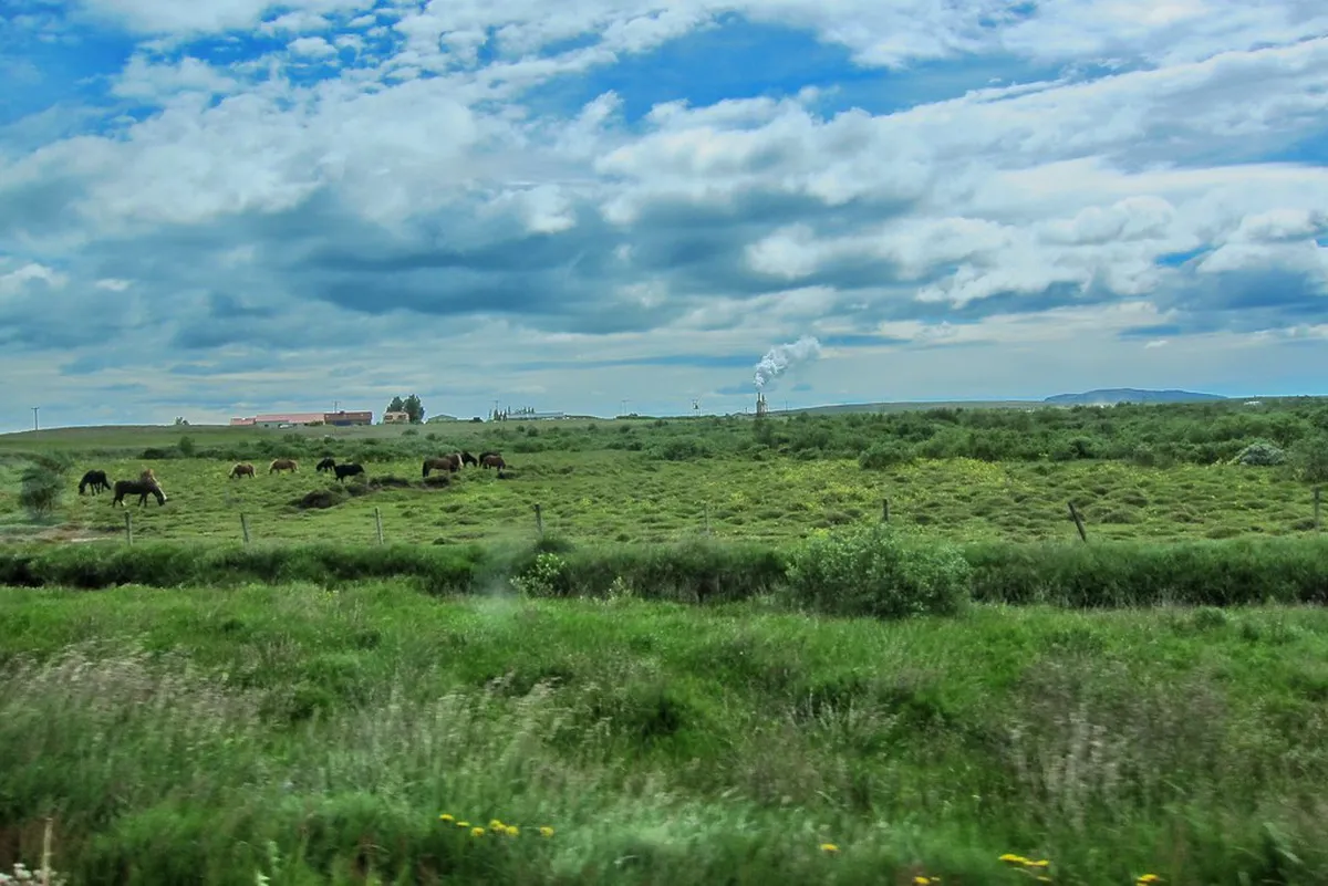 Free Hiking Trails in Nara Japan: Budget Guide 2026