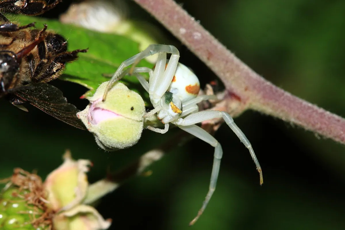 How to find Ukimido Gazebo Nara | Step-by-Step Guide