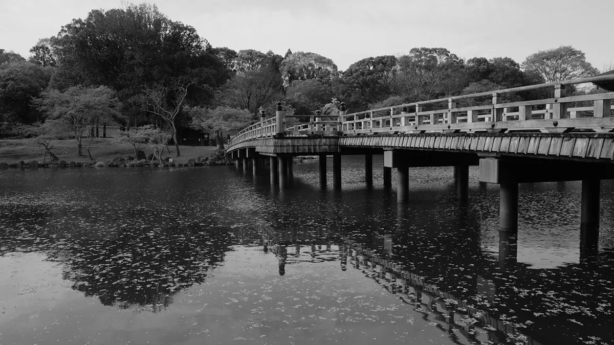 Sagi-ike Pond Walking Route Nara: 1-Day Guide